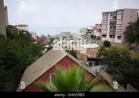 Valparaiso, Chili - février 2020 : vue de la colline à la baie de Bahia de Valparaiso.Palmier et toit de la vieille maison.Maisons colorées du quartier historique Banque D'Images