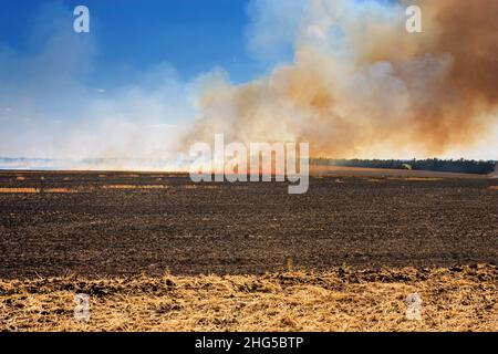 Un champ agricole en feu par temps chaud d'été.Le vent sec souffle les flammes du feu à travers les champs des agriculteurs Banque D'Images