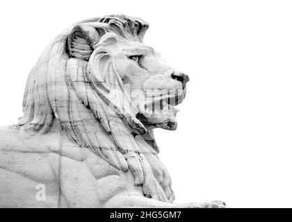 Sculpture en marbre de la tête de lion isolée sur fond blanc, vue latérale image en noir et blanc Banque D'Images