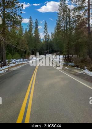 Longue route dans la forêt près de Nevada City en Californie Banque D'Images