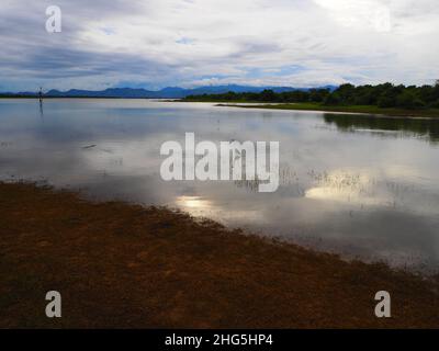 Parc national au Sri Lanka, paysages en Asie du Sud-est #Asia #Authentic #fernweh #slowTravel #stayInspired #TravelAbain Banque D'Images