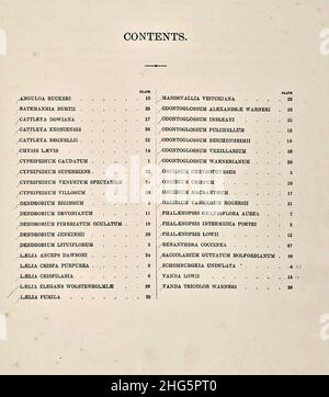 Sélection de plantes d'orchidées - deuxième série - index. Banque D'Images