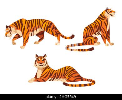 Ensemble de grands tigres rouges adultes faune et faune thème dessin animé animal dessin vectoriel plat illustration isolée sur fond blanc Illustration de Vecteur