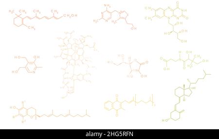 Ensemble de vitamines formule moléculaire et illustration du vecteur de structure sur fond blanc Illustration de Vecteur