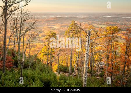 Vue d'automne au-dessus des arbres depuis Little Pinnacle au parc national de Pilot Mountain à Pinnacle, en Caroline du Nord. Banque D'Images