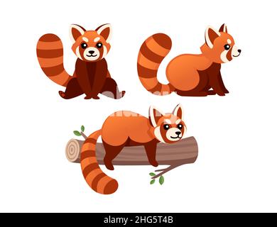 Ensemble mignon adorable panda rouge se trouve sur bois log dessin animé personnage animal dessin vectoriel plat style illustration sur fond blanc Illustration de Vecteur