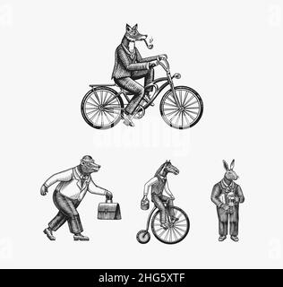 Un renard avec un tuyau en costume fait un vélo.Ours, cheval et lièvre.Jeu de personnages animaux mode.Esquisse dessinée à la main.Illustration vectorielle gravée Illustration de Vecteur