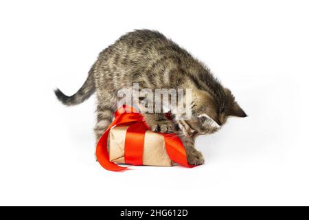 Un petit chaton drôle qui pite une boîte cadeau sur fond blanc Banque D'Images