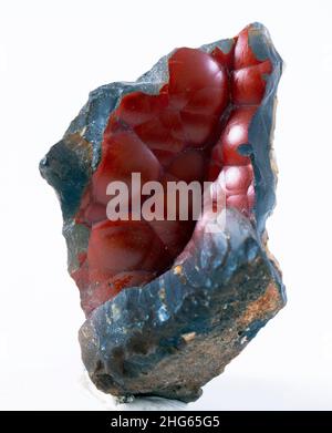 renard rouge agate minéral spécimen pierre roche géologie bijou cristal Banque D'Images