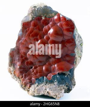 renard rouge agate minéral spécimen pierre roche géologie bijou cristal Banque D'Images