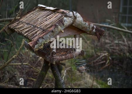 Ancienne maison de mangeoire à oiseaux en bois avec des graines fraîches dans un jardin sauvage et naturel, un jour d'hiver gris, espace de copie, foyer sélectionné, profondeur de champ étroite Banque D'Images