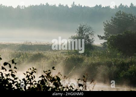 Magnifique lever de soleil sur la forêt et la rivière le matin de l'été.Rayons du soleil perçant le brouillard. Banque D'Images