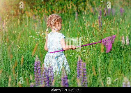 La petite fille attrape le papillon par filet à la prairie verte en été ensoleillé Banque D'Images