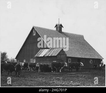 Shelby County, Iowa.Un type commun de grange.Comme la plupart des bâtiments de service dans la communauté, il est dans e ... Banque D'Images