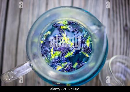 Papillon pois bleu Clitoria ternatea fleurs couleur coloré thé plat dessus de plan au-dessus macro vue rapprochée dans la théière sur table en bois arrière-plan montrant le det Banque D'Images