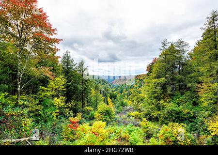 Allegheny montagnes en automne saison avec feuillage vert qui devient or rouge et jaune à Lindy point surplombent dans le parc national de Blackwater Falls à Wes Banque D'Images