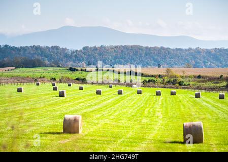 Elkton, Virginie campagne campagne rurale pays avec balles de foin sur le terrain agricole de l'herbe dans la vallée de Shenandoah, les montagnes de crête bleu de Virginie et silh Banque D'Images