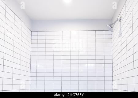 Intérieur de salle de bains dans nouveau moderne maison d'appartement de luxe avec plafond voûté, nouveaux carreaux mur de carrelage de la baignoire de douche avec le montage en acier inoxydable HE Banque D'Images