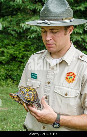 Ohio Wellington Findley State Park,nature parc naturel ranger naturaliste,Eastern box tortue Terrapene carolina carolina,reptile animal,homme hommes Banque D'Images