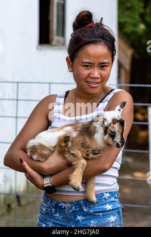 Une fille asiatique tient un gamin de chèvre nain nigérian. Banque D'Images