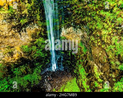 La vue sur la vallée OBI et la végétation luxuriante de la forêt tropicale sont des points forts pour les visiteurs de cette petite mais importante forêt résiduelle. Banque D'Images