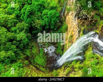 La vue sur la vallée OBI et la végétation luxuriante de la forêt tropicale sont des points forts pour les visiteurs de cette petite mais importante forêt résiduelle. Banque D'Images