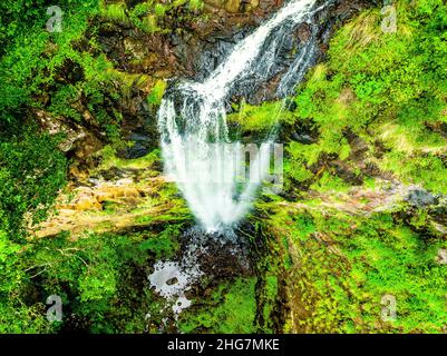 La vue sur la vallée OBI et la végétation luxuriante de la forêt tropicale sont des points forts pour les visiteurs de cette petite mais importante forêt résiduelle. Banque D'Images