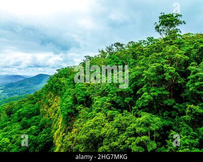 La vue sur la vallée OBI et la végétation luxuriante de la forêt tropicale sont des points forts pour les visiteurs de cette petite mais importante forêt résiduelle. Banque D'Images