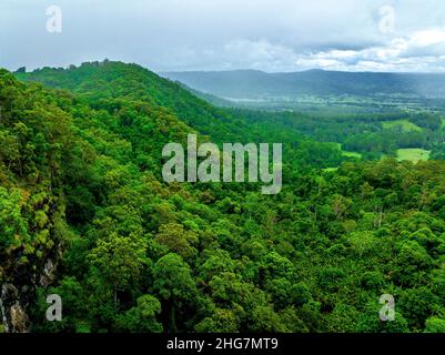 La vue sur la vallée OBI et la végétation luxuriante de la forêt tropicale sont des points forts pour les visiteurs de cette petite mais importante forêt résiduelle. Banque D'Images