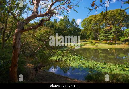 L'étang du jardin de Ninomaru conçu par Kobori Enshu au pied de la colline du château d'Edo.Palais impérial.Tokyo.Japon Banque D'Images