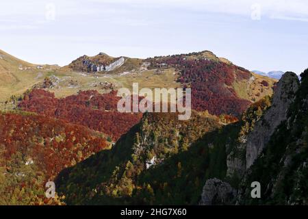 Sentier de randonnée de Sudtirol malga dans le feuillage d'automne, Trentin, Trento, Italie Banque D'Images
