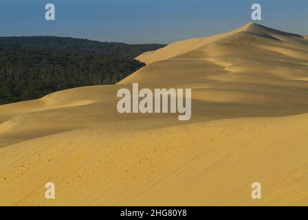 FRANCE, GIRONDE (33) BASSIN D'ARCACHON, PYLA-SUR-MER, DUNE DU PILAT ET FORÊT Banque D'Images