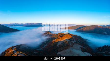 Brouillard épais parmi les sommets de la crête de haute montagne couverte de forêts à feuilles persistantes sous un ciel bleu sans nuages avec une vue aérienne de lever de soleil orange vif Banque D'Images