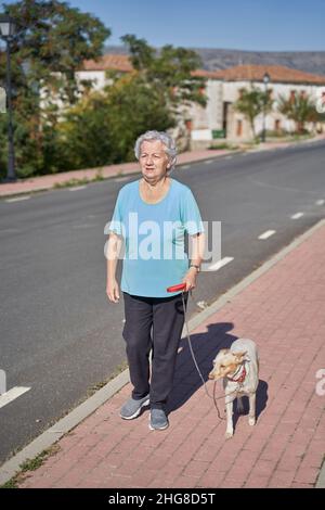 Corps entier d'une femme âgée avec des cheveux gris conduisant le chien Posenco sur la laisse sur un trottoir pavé par beau temps Banque D'Images