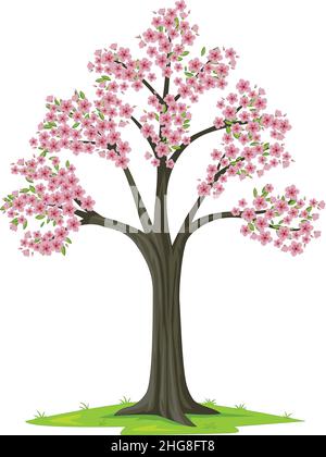 Fleur rose sakura arbre sur fond blanc Illustration de Vecteur