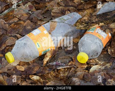 18 janvier 2022, Brandebourg, Wittstock/Dosse/OT Zempow: Des bouteilles en plastique vides se trouvent à côté d'un arbre dans le quartier Ostprignitz-Ruppin de Brandebourg.Les bouteilles contenaient du jus d'orange et sont donc exemptes du dépôt.encore et encore, les déchets et les déchets de jardin sont jetés dans les bois.Photo: Soeren Stache/dpa-Zentralbild/ZB Banque D'Images