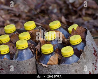 18 janvier 2022, Brandebourg, Wittstock/Dosse/OT Zempow: Des bouteilles en plastique vides se trouvent à côté d'un arbre dans le quartier Ostprignitz-Ruppin de Brandebourg.Les bouteilles contenaient du jus d'orange et sont donc exemptes du dépôt.encore et encore, les déchets et les déchets de jardin sont jetés dans les bois.Photo: Soeren Stache/dpa-Zentralbild/ZB Banque D'Images