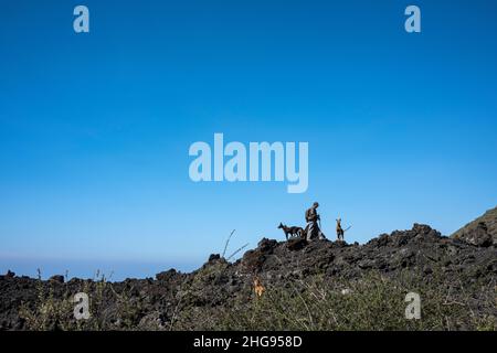 Hunter avec Podenco Canaria chiens sur un affleurement rocheux à Santiago del Teide, Tenerife, les îles Canaries, Espagne Banque D'Images