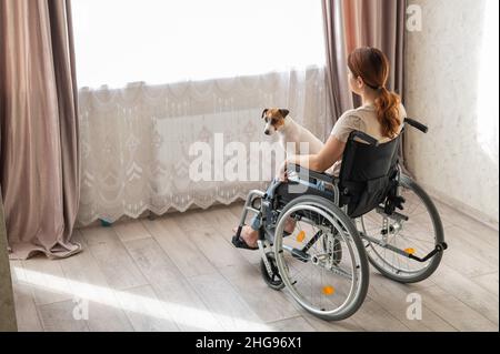 Femme caucasienne en fauteuil roulant tenant un chien de terrier Jack russell devant la fenêtre. Banque D'Images