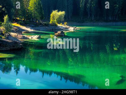 Réflexions forestières dans le lac Cauma, Grisons, Suisse Banque D'Images