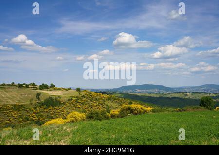 Paysage à Molise près de Macchiagodena et Frosolone, province d'Isernia, en juin Banque D'Images