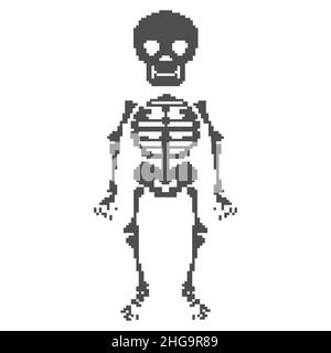 L'anatomie humaine art pixel 8 bits en organes internes et de skeleton ...