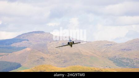 Entraîneur militaire de vol de faucon sur les collines au pays de Galles Banque D'Images