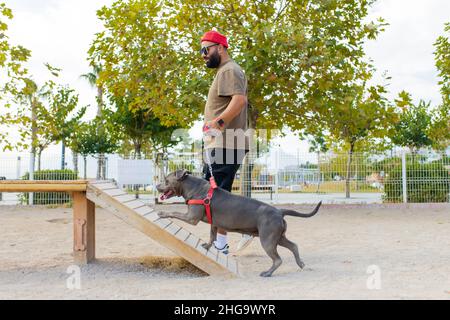 Joyeux homme de course mixte dans des lunettes jouant avec son chien dans le parc de sity Banque D'Images