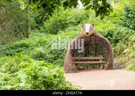 Un abri de blaireau et siège sur le sentier de forêt à forêt dans la forêt de Dean à Beechenhurst Lodge près de Coleford, Gloucestershire.UK Banque D'Images