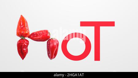 poivre chaud isolé sur fond blanc Banque D'Images