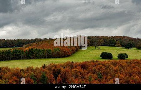 Vue sur les couleurs de l'automne depuis la crête jusqu'à la vallée de Arundel Park, West Sussex en automne Banque D'Images