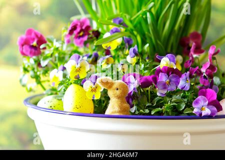 Gros plan d'une joyeuse décoration de Pâques avec un petit lapin, des œufs de couleur et des fleurs de pansy très colorées en pleine fleur. Banque D'Images