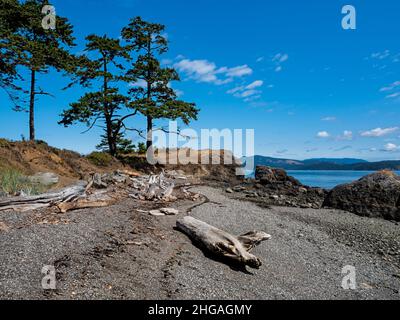 WA21147-00...WASHINGTON - arbres sur un promontoire rocheux au parc régional de Reuben Tarte sur le chenal San Juan, le long du côté nord-est de l'île San Juan. Banque D'Images