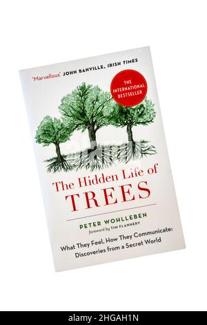 Une copie papier de la vie cachée des arbres par Peter Wohlleben.Première publication en Allemagne en 2015.L'illustration montre l'édition anglaise 2017. Banque D'Images